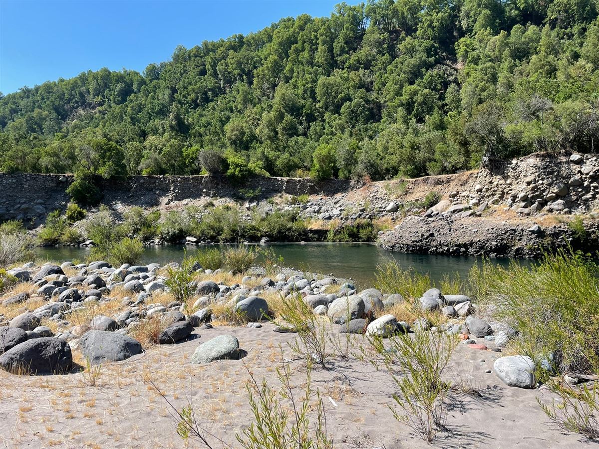 Venta Sitio Longaví - Maule