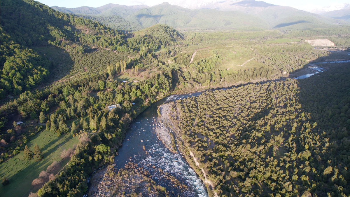 Venta Agrícola Longaví - Maule