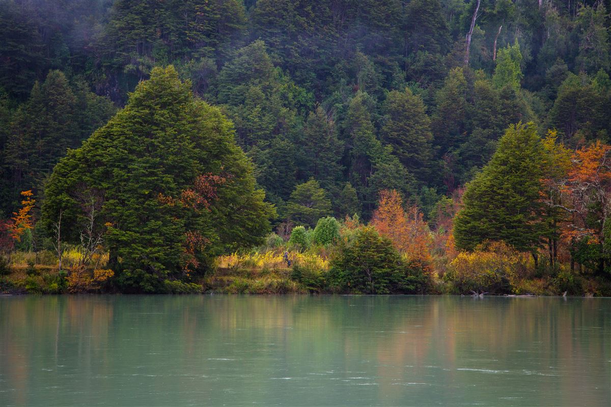 Venta Parcela Lago Verde - Aysén