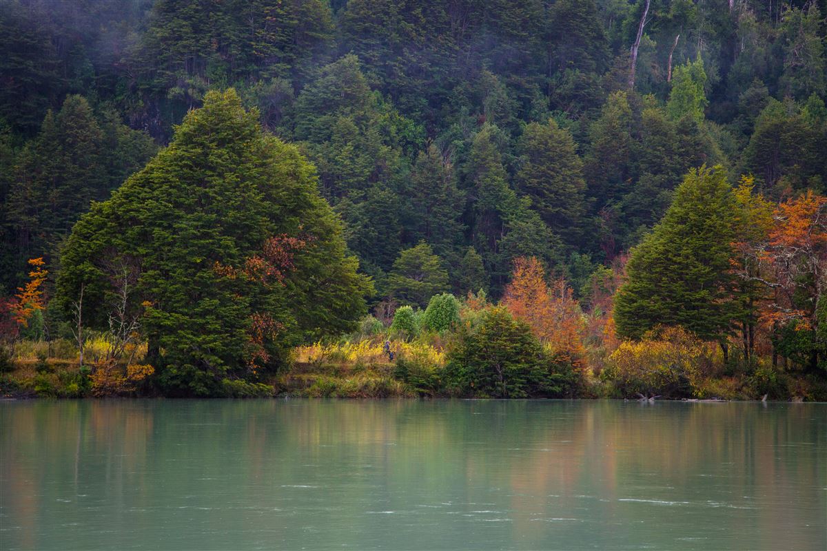 Venta Parcela Lago verde - Aysén