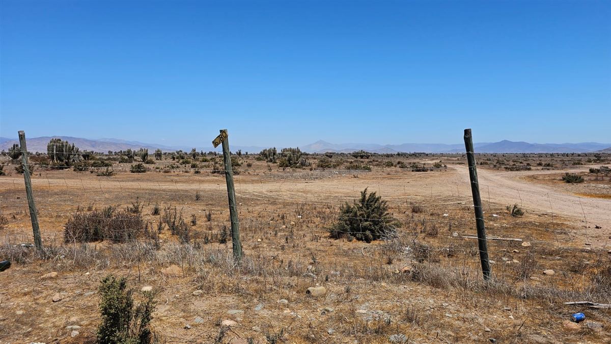 Venta Agrícola Ovalle - Coquimbo