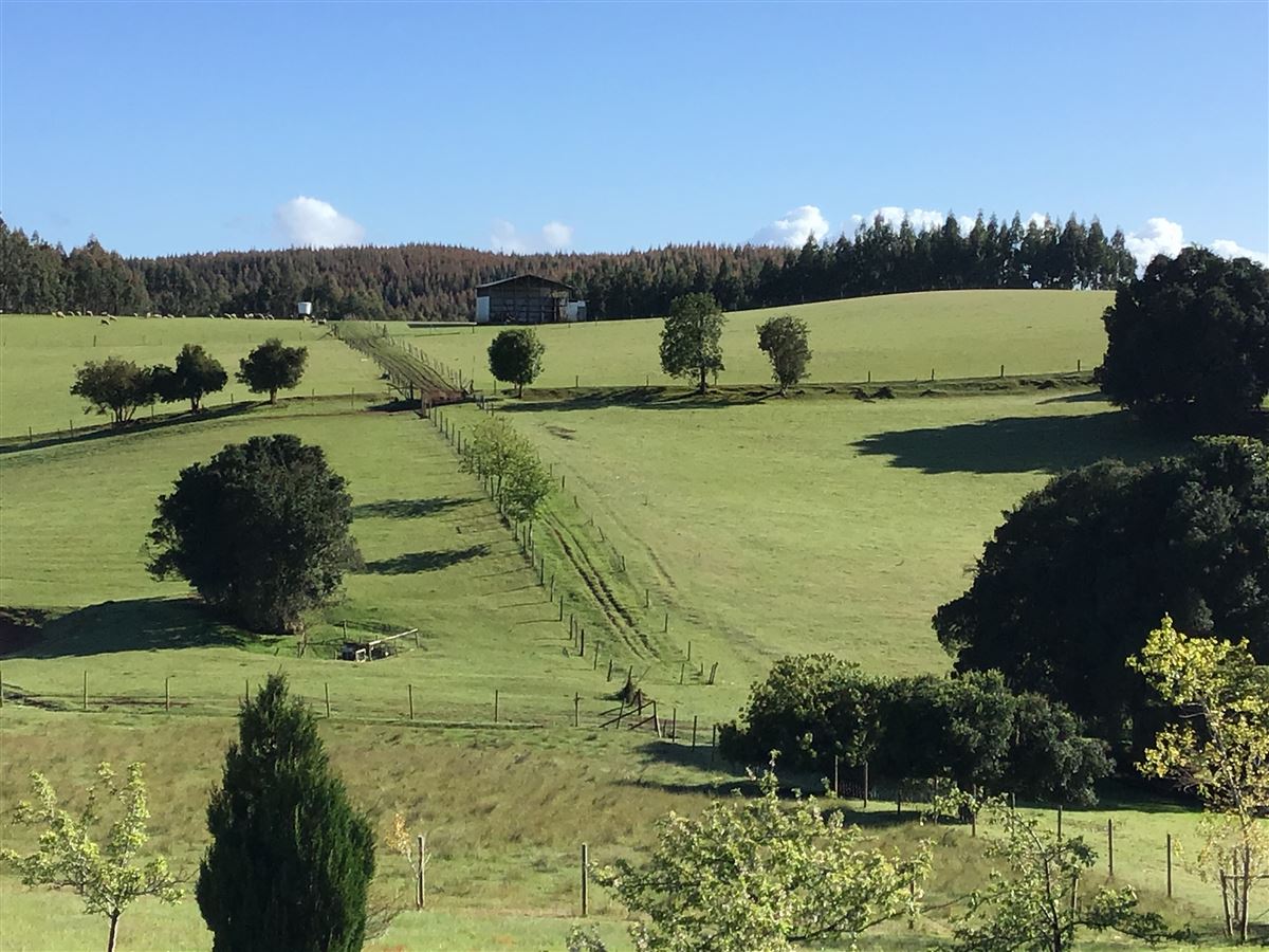 Venta Agrícola La union - Los Ríos