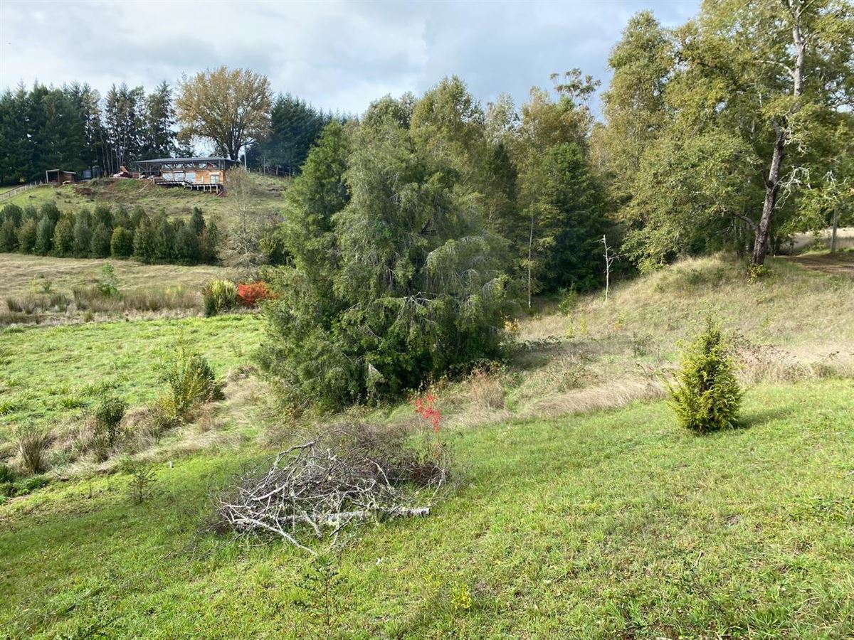 Venta Parcela Valdivia - Los Ríos