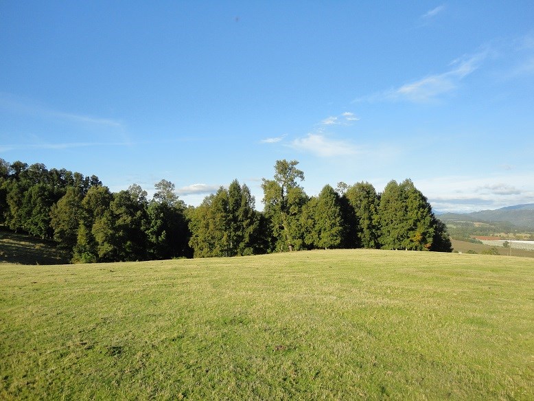 Venta Agrícola Los Lagos - Los Ríos