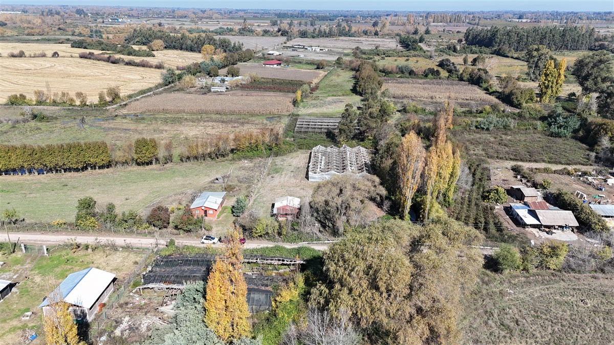 Venta Agrícola Longaví - Maule