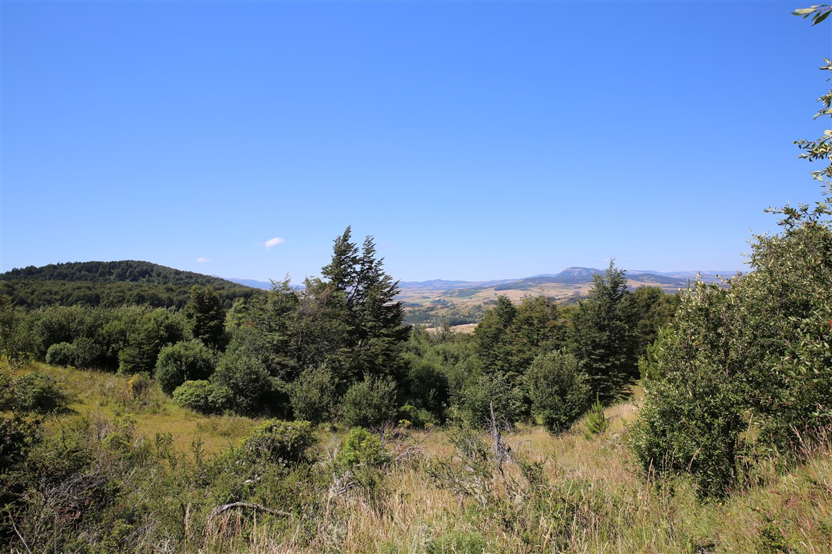 Venta Parcela Coyhaique - Aysén