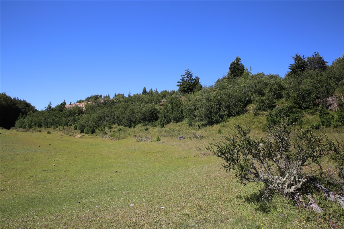 Venta Parcela Coyhaique - Aysén