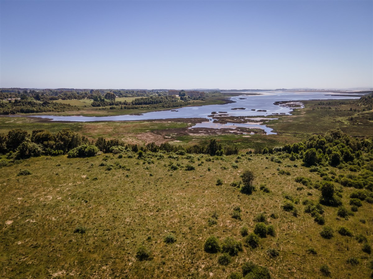 Venta Sitio Maullín - Los Lagos