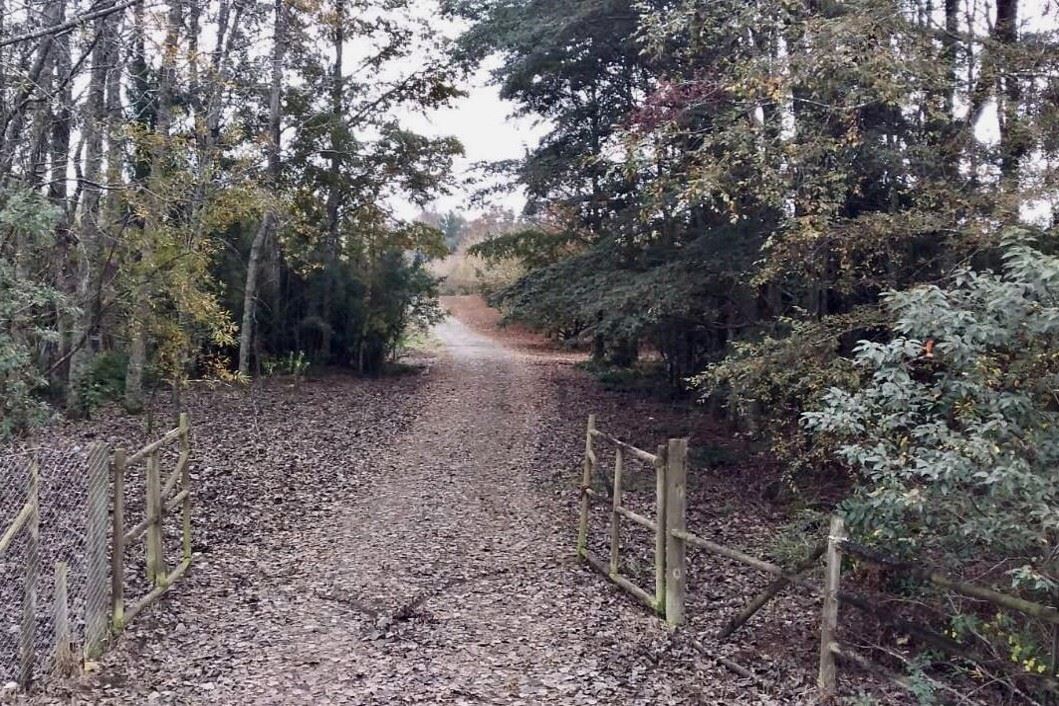 Venta Sitio Loncoche - La Araucanía