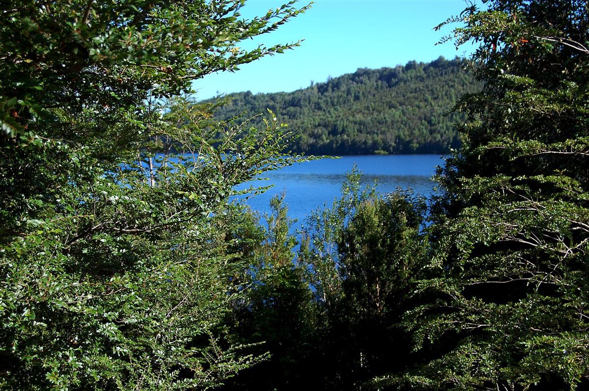 Venta Parcela Chonchi - Los Lagos