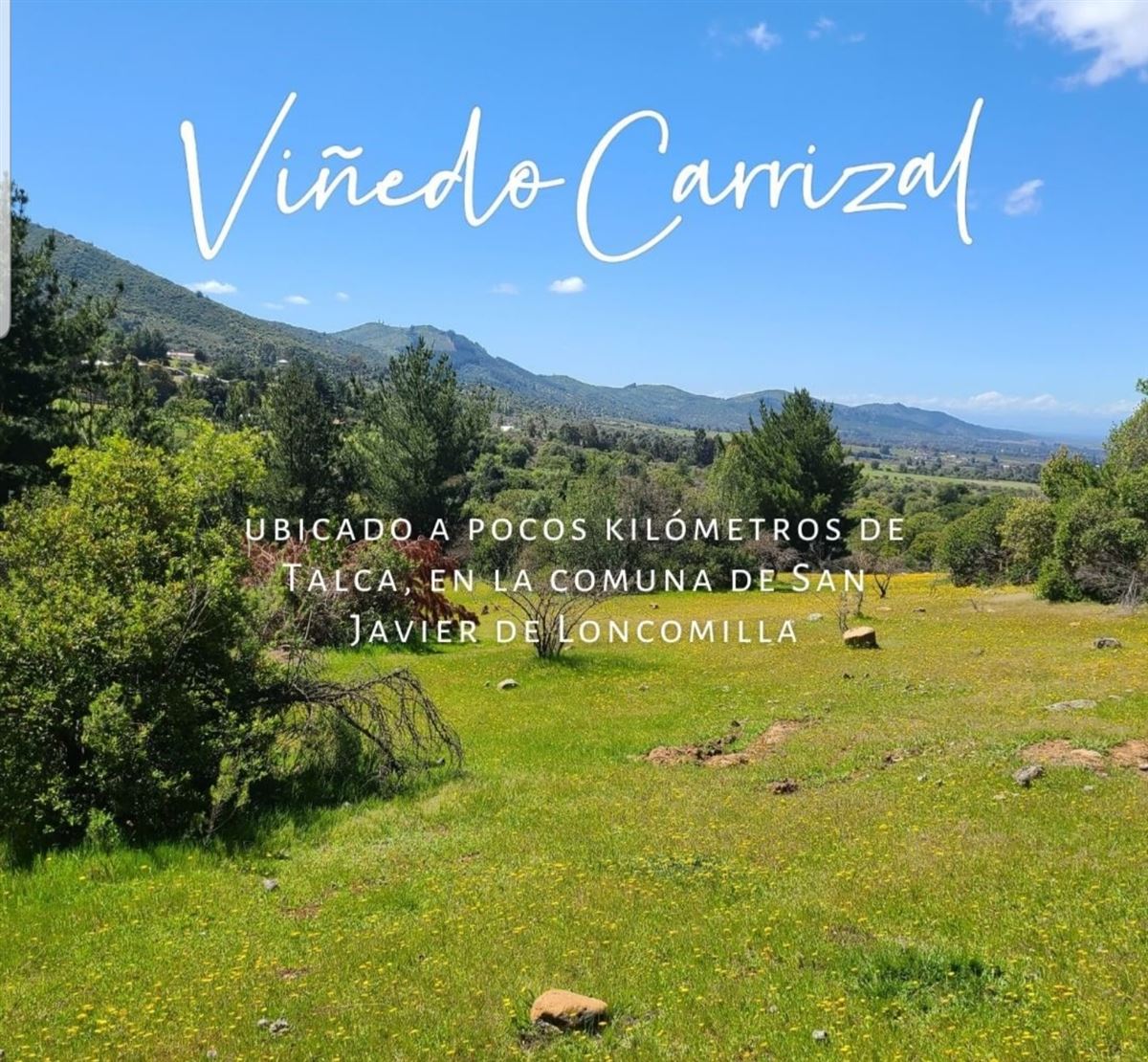 Venta Parcela San Javier - Maule
