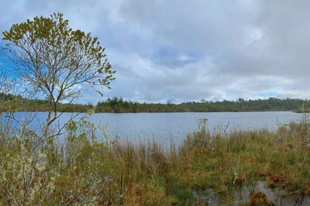 Venta Parcela Quemchi - Los Lagos