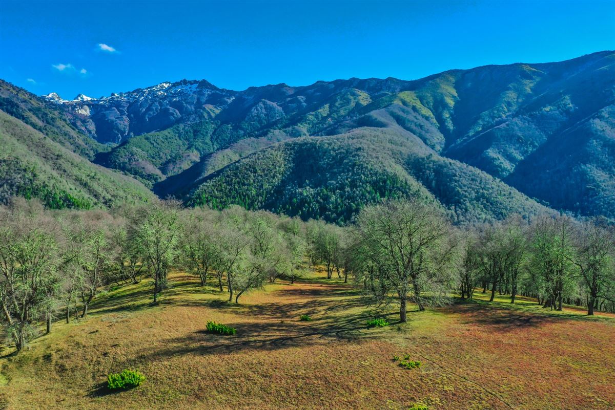 Venta Sitio Curacautín - La Araucanía