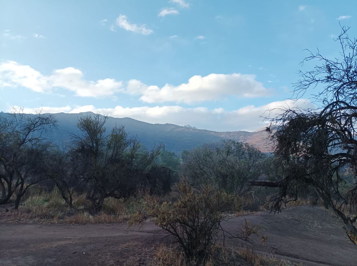 Venta Sitio Curacautín - La Araucanía