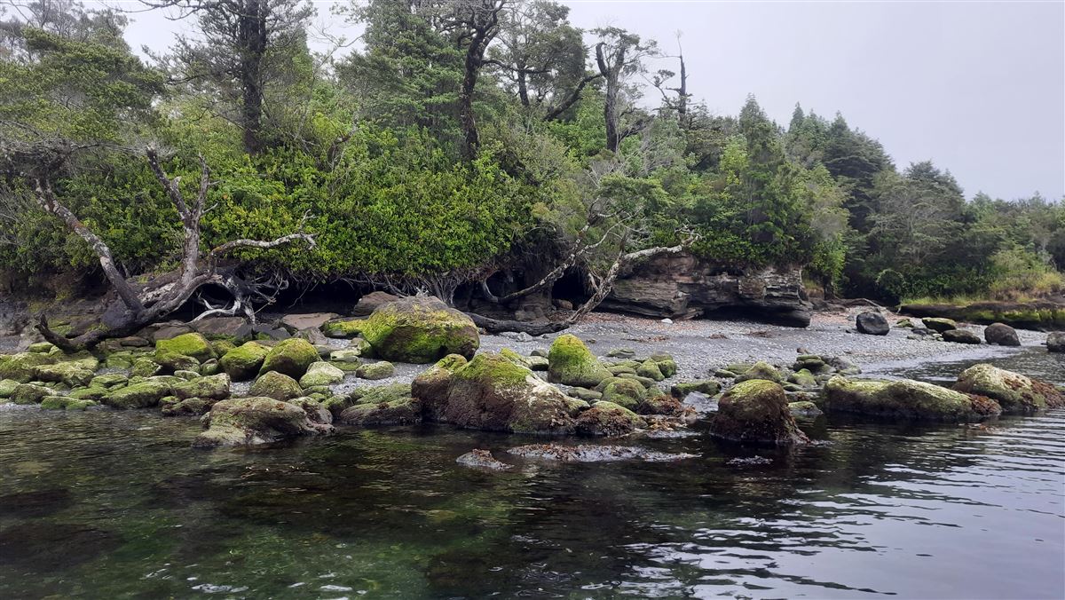 Venta Sitio Aysén - Aysén