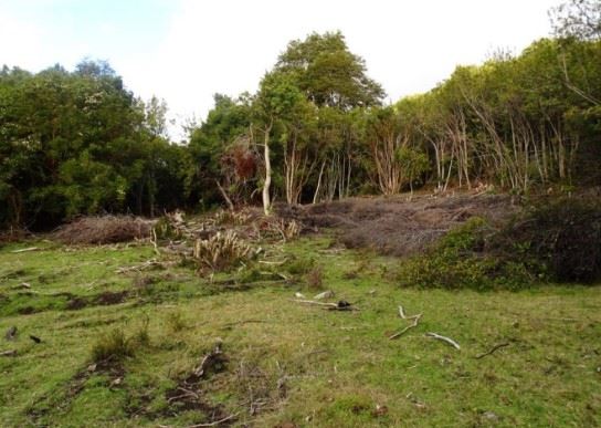 Venta Sitio Cochamó - Los Lagos