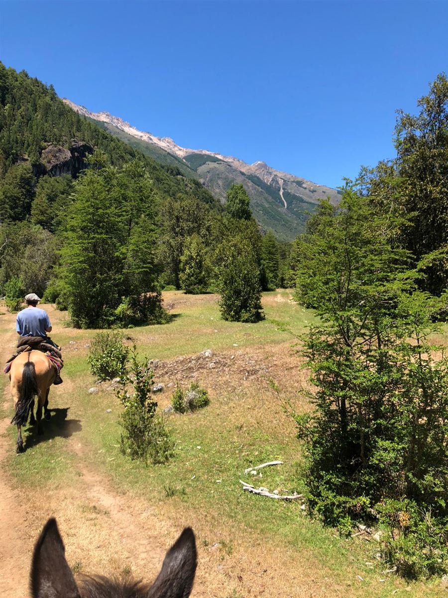 Venta Sitio Cochamó - Los Lagos