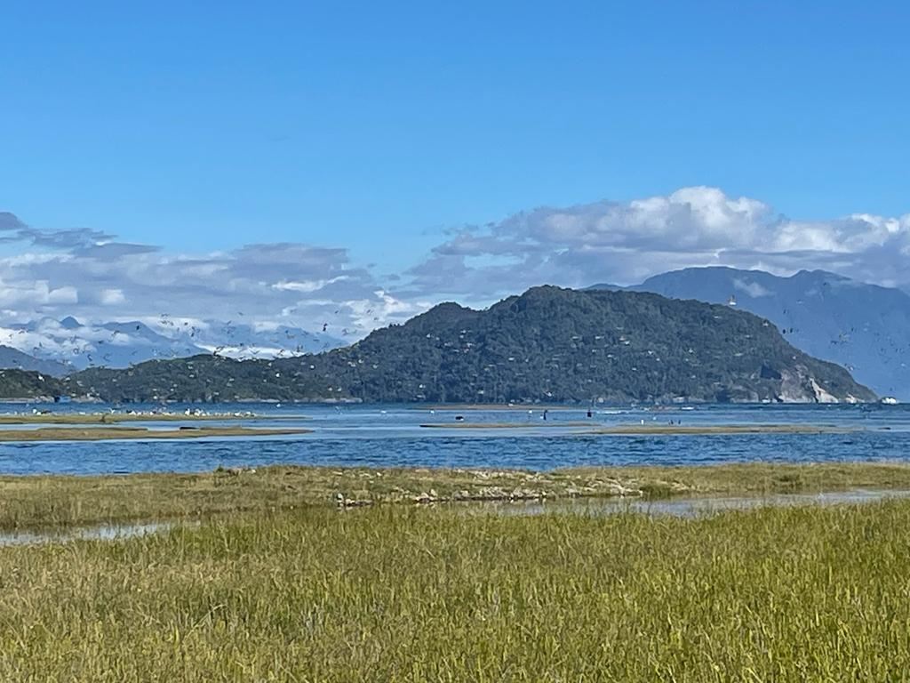 Venta Sitio Hualaihué - Los Lagos