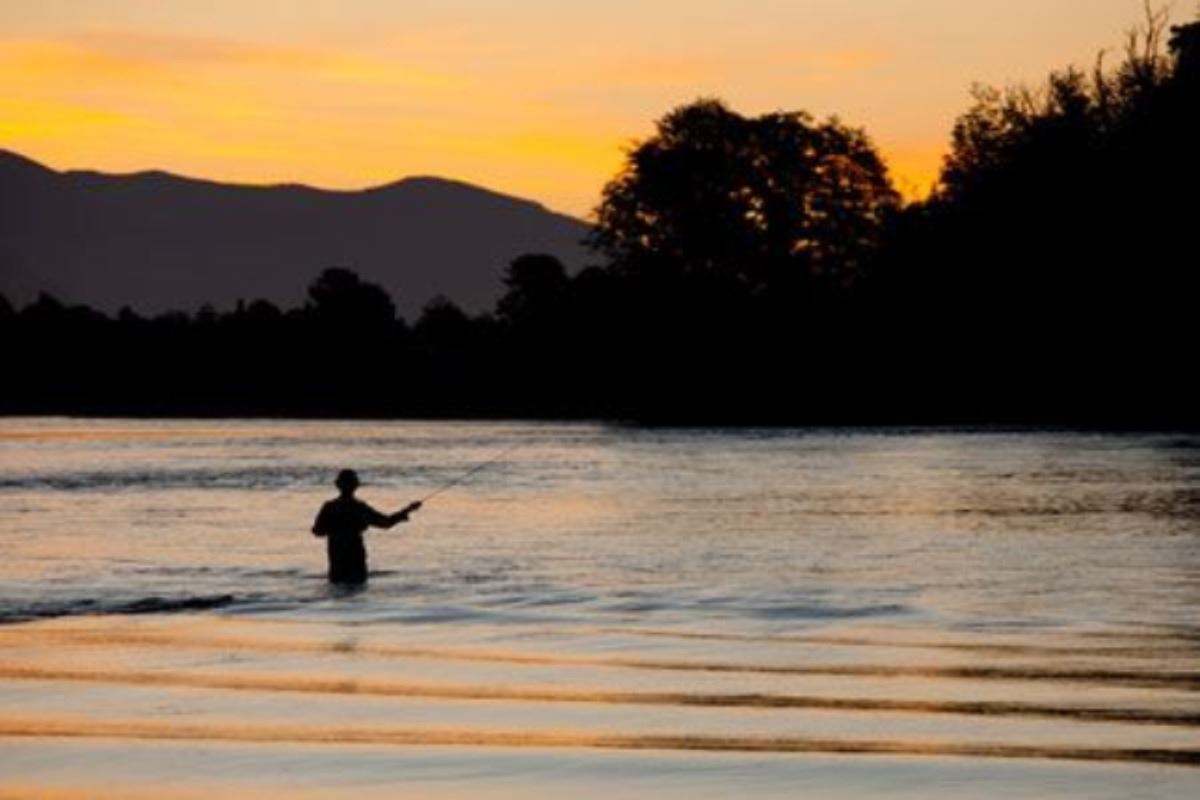 Venta Sitio Cochamó - Los Lagos