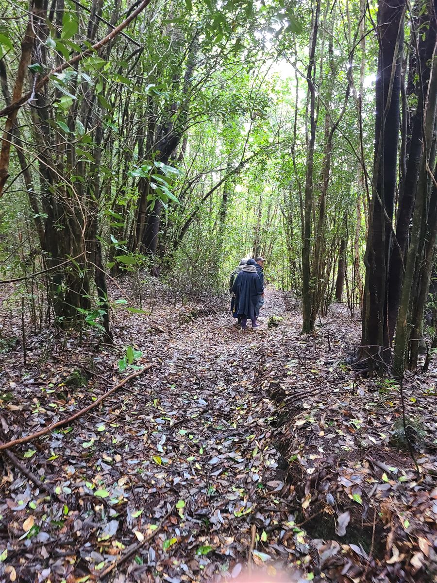 Venta Sitio Quemchi - Los Lagos