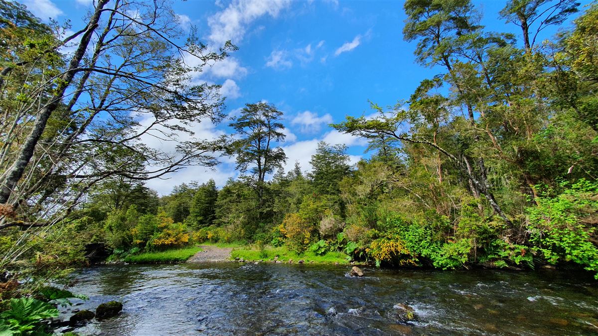 Venta Sitio Puerto Octay - Los Lagos