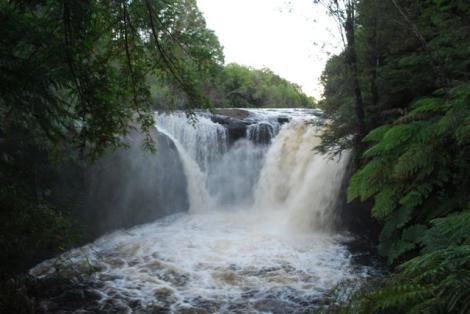 Venta Sitio Chonchi - Los Lagos