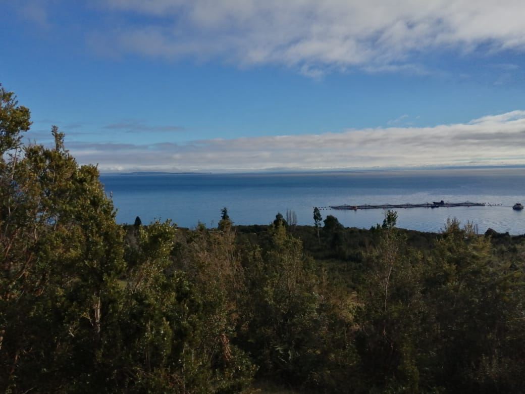Venta Sitio Hualaihué - Los Lagos