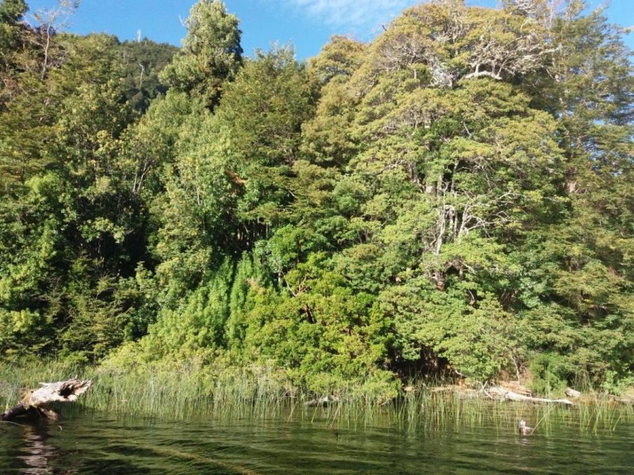 Venta Sitio Aysén - Aysén