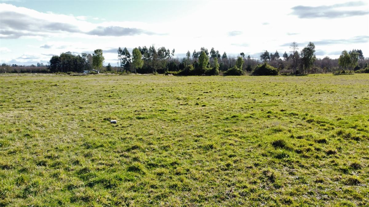 Venta Parcela Paillaco - Los Ríos