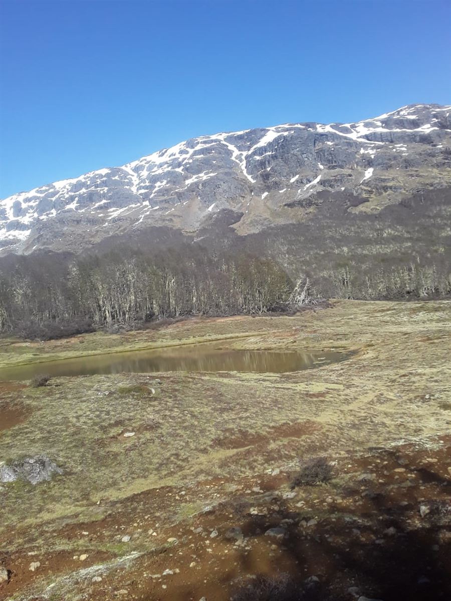 Venta Sitio Chile chico - Aysén