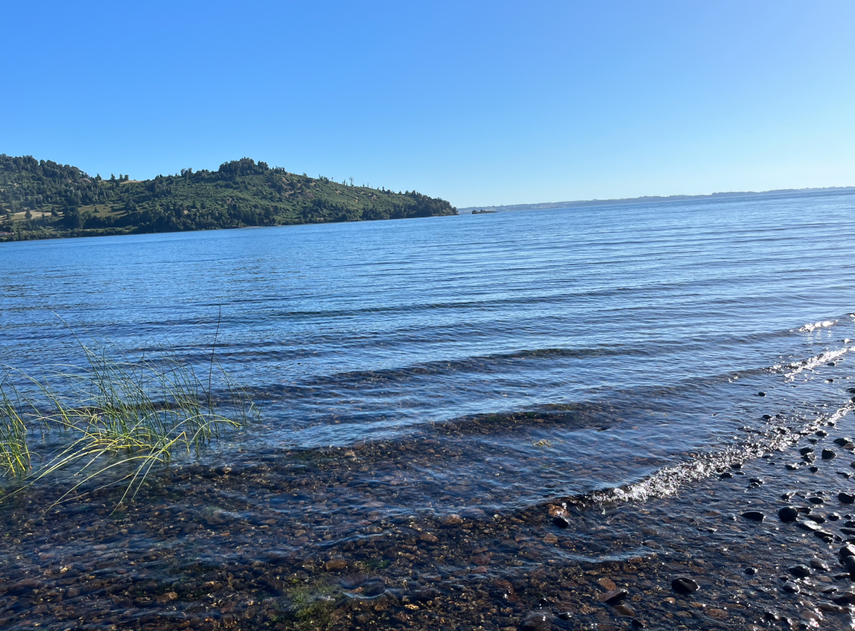 Venta Parcela Río bueno - Los Ríos