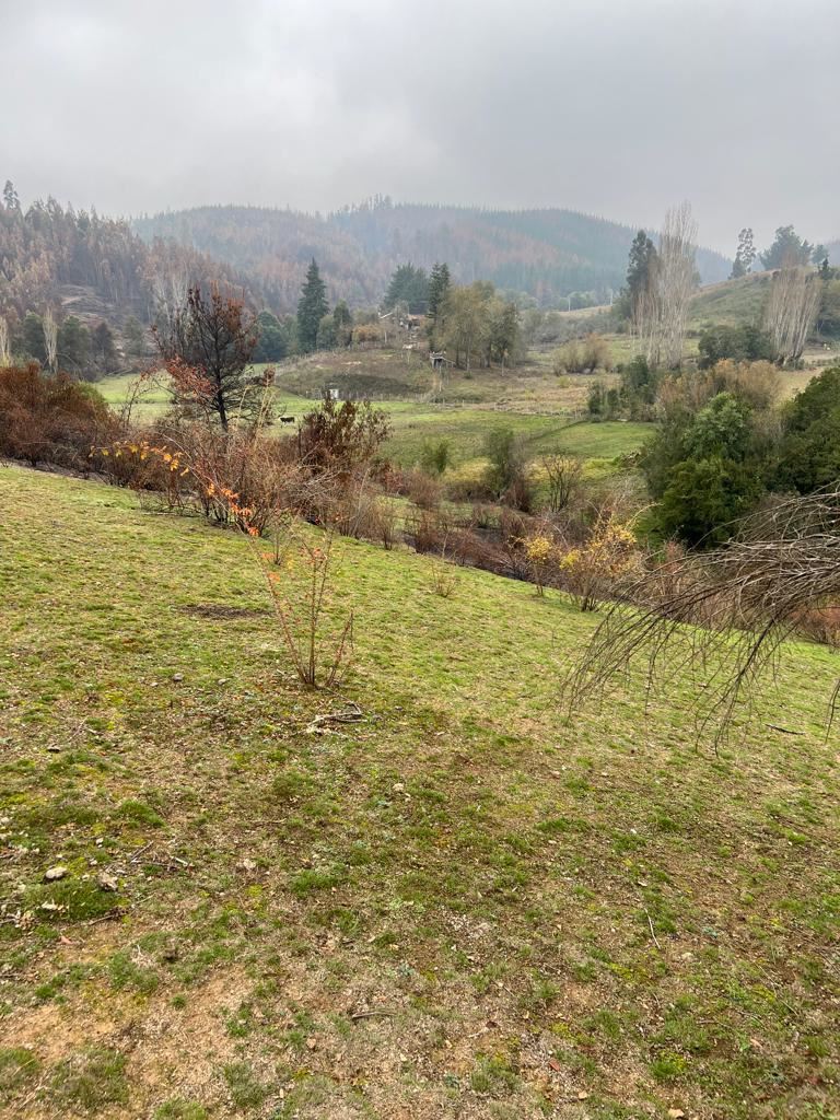 Venta Parcela Hualqui - Biobío