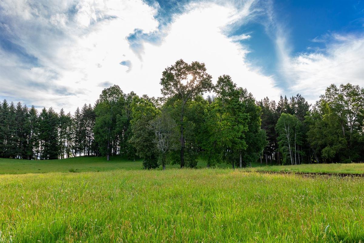 Venta Sitio Villarrica - La Araucanía