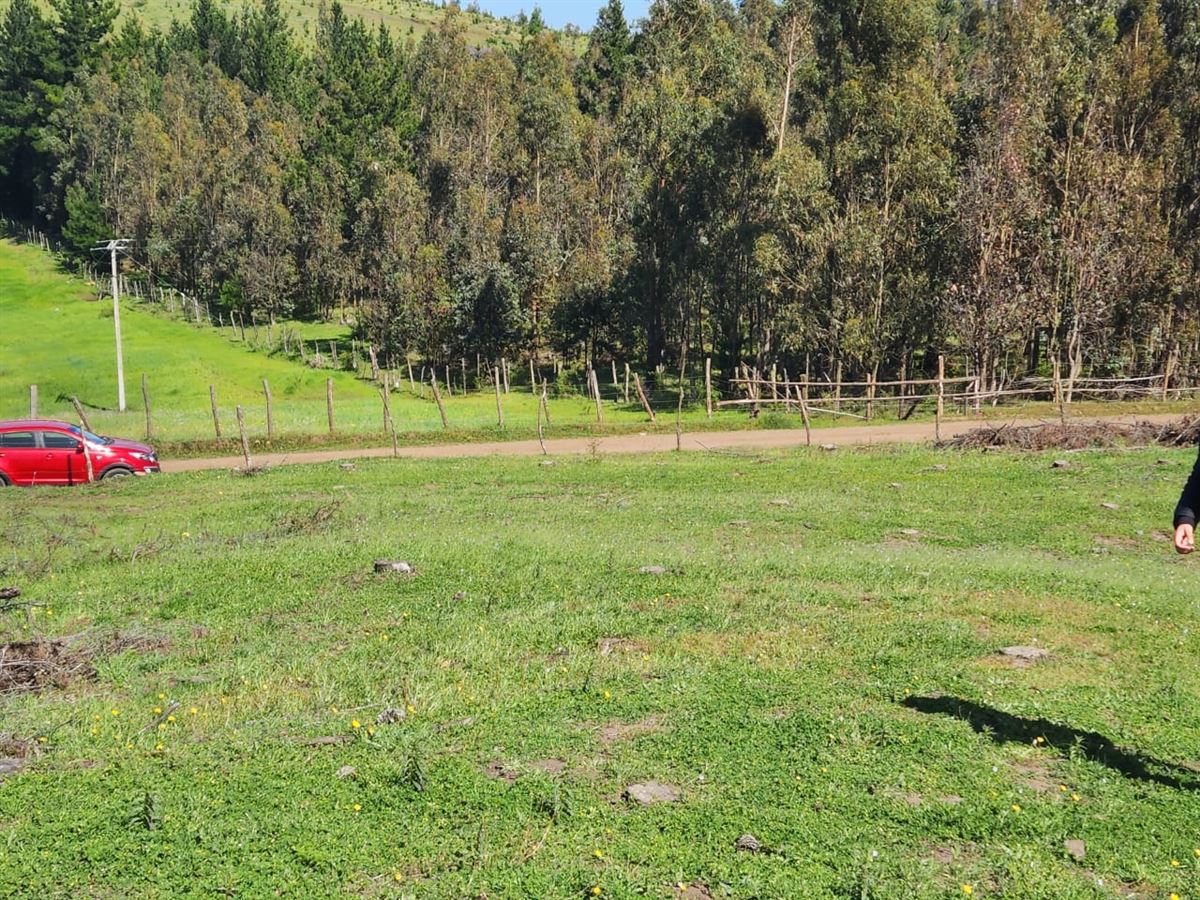 Venta Parcela Yumbel - Biobío