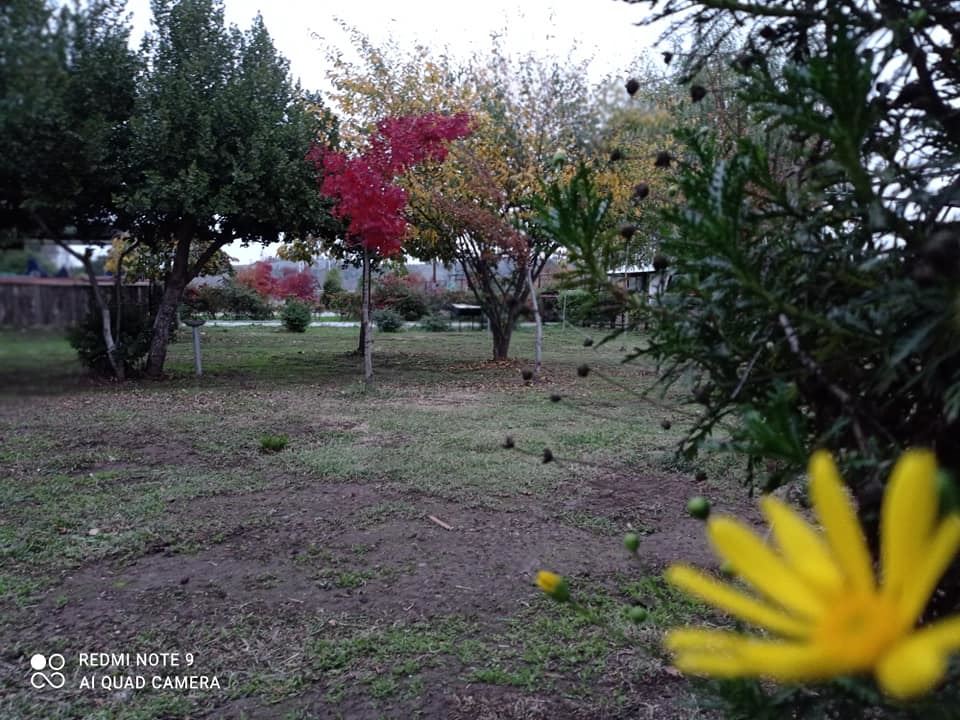 Venta Parcela Yumbel - Biobío