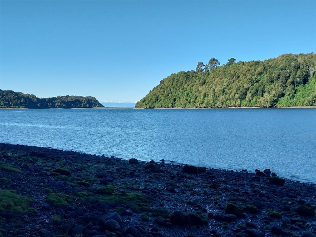 Venta Sitio Quemchi - Los Lagos