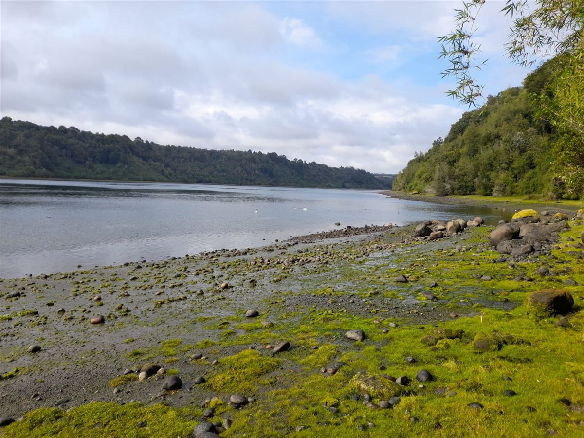 Venta Sitio Quemchi - Los Lagos