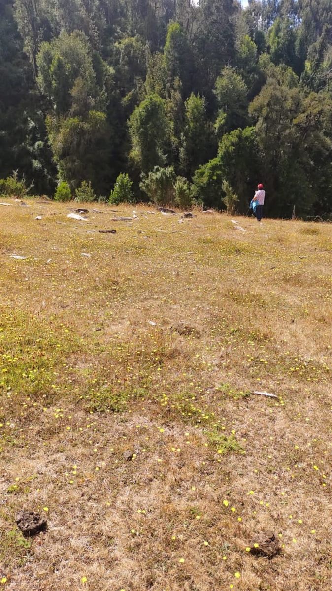 Venta Sitio Mariquina - Los Ríos