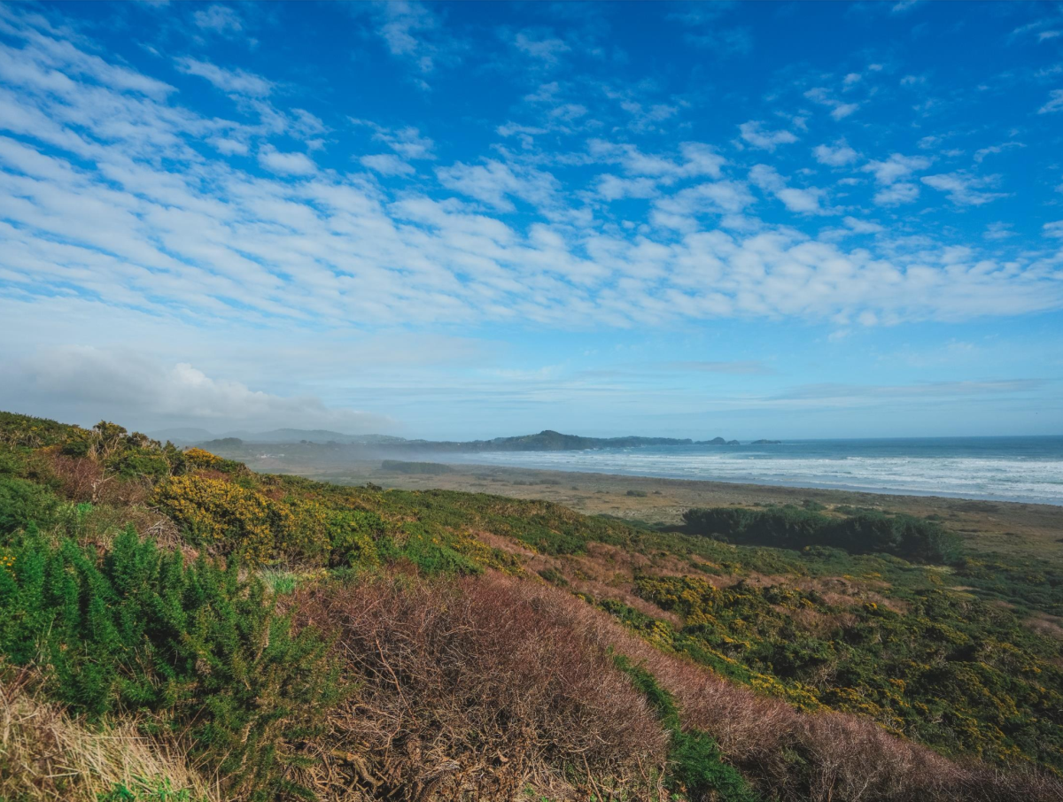 Venta Sitio Ancud - Los Lagos