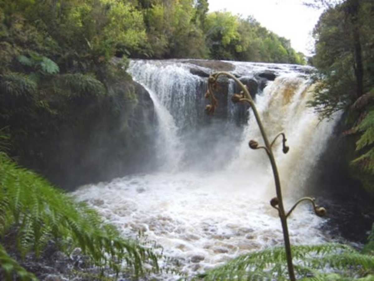 Venta Sitio Chonchi - Los Lagos