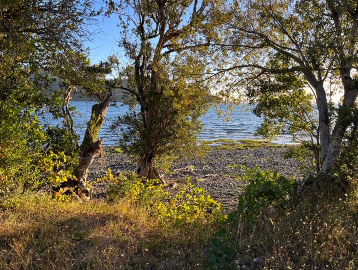 Venta Parcela Río bueno - Los Ríos