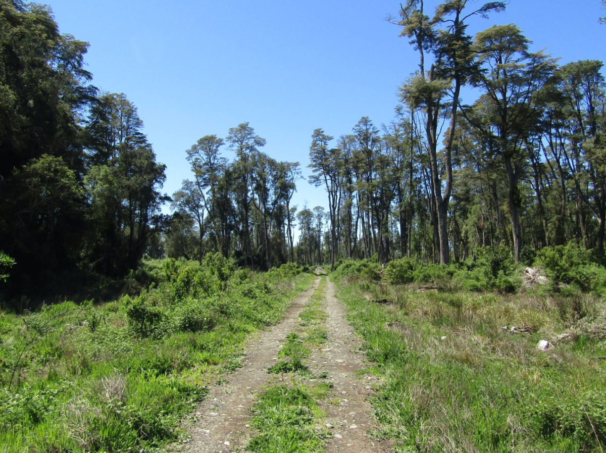 Venta Sitio Puerto Octay - Los Lagos