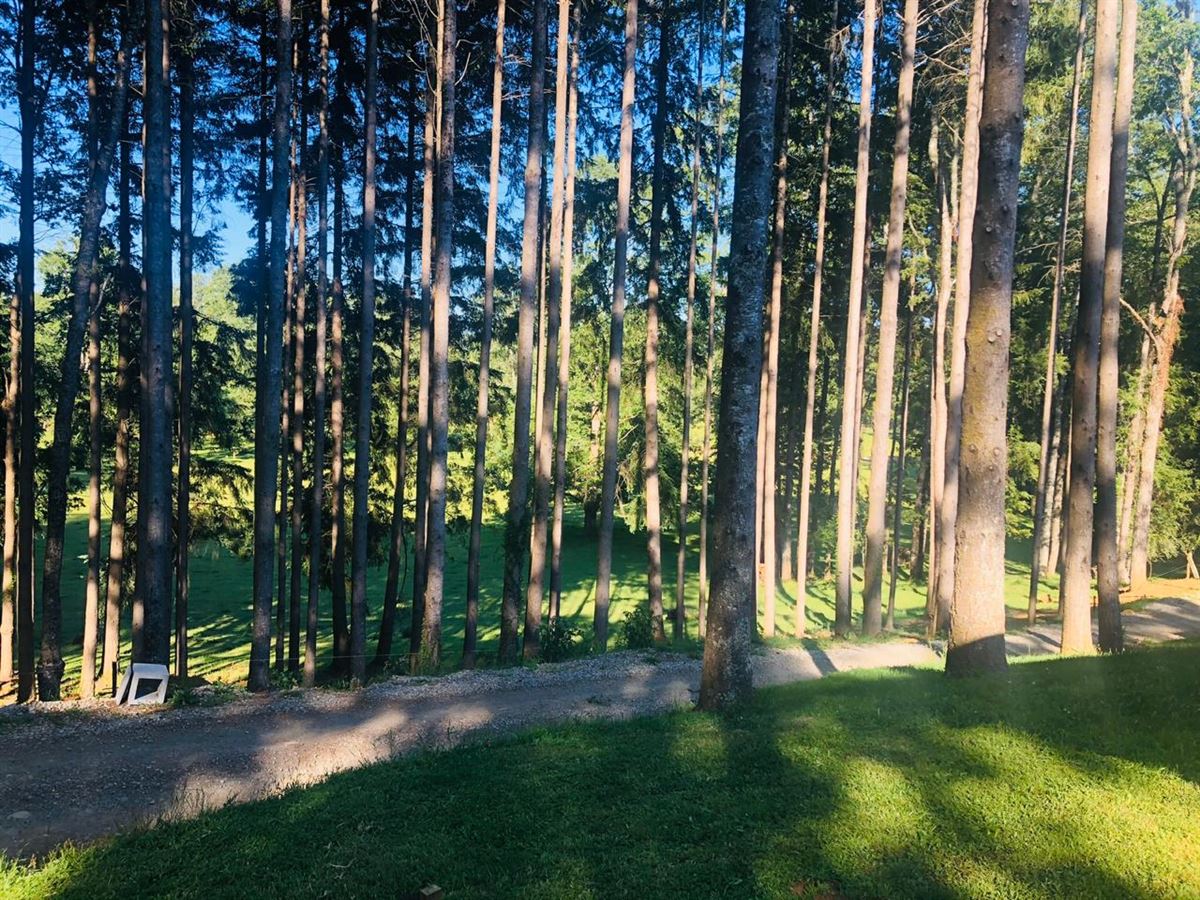 Venta Parcela Villarrica - La Araucanía