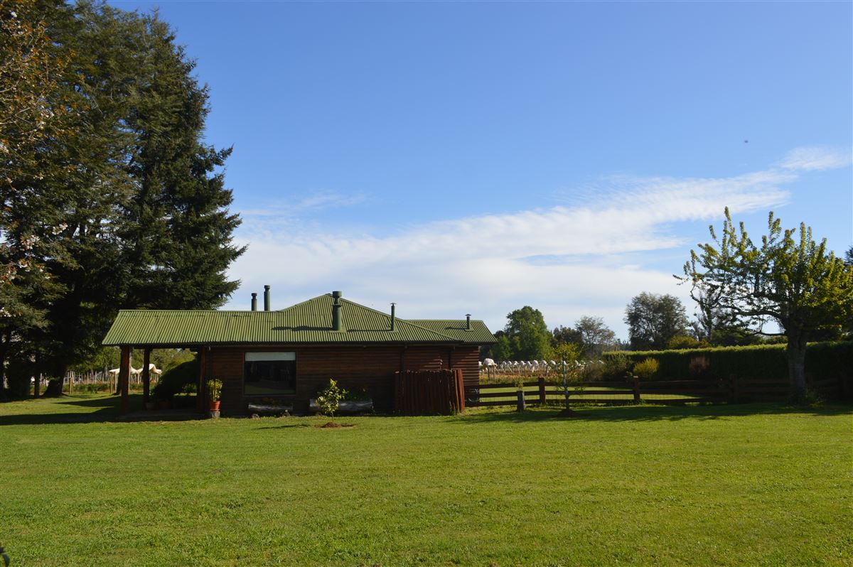 Venta Agrícola Freire - La Araucanía