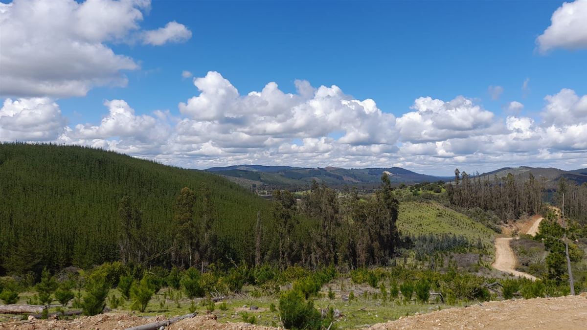 Venta Sitio Vichuquén - Maule