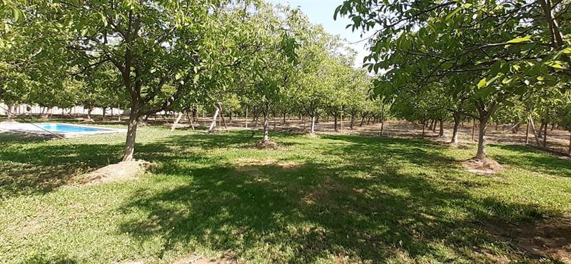 Venta Parcela Pirque - Región Metropolitana