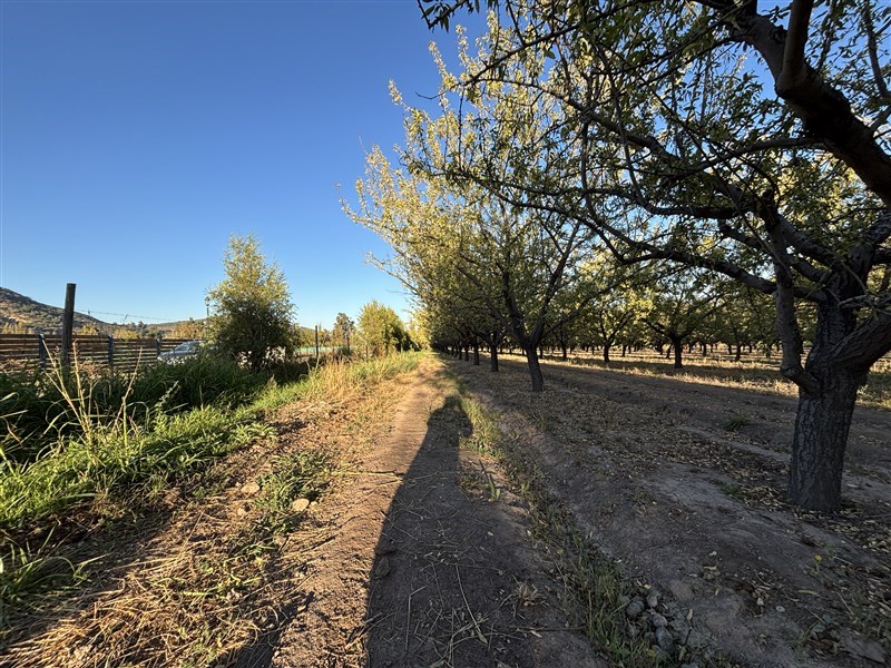 Venta Parcela Pirque - Región Metropolitana