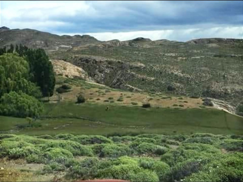 Venta Agrícola Chile Chico - Aysén