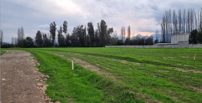 Venta Agrícola Requínoa - O'Higgins