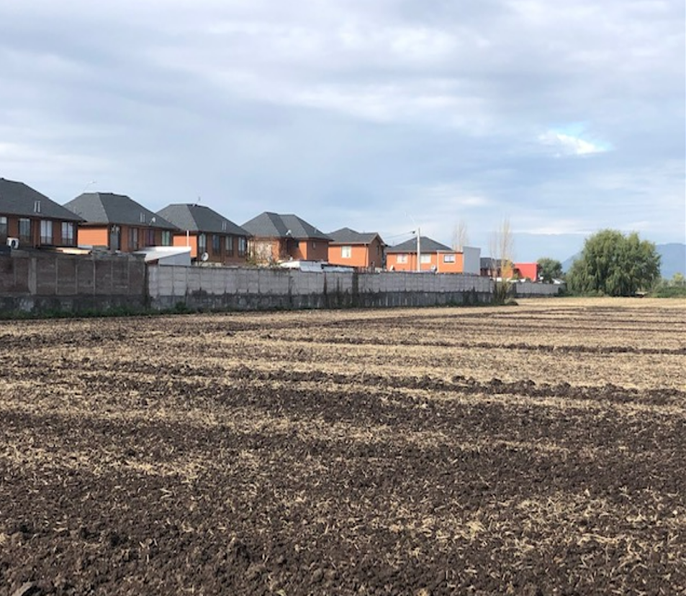 Venta Agrícola Santa Cruz - O'Higgins